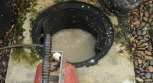 Desentupidora de caixa de gordura (3)